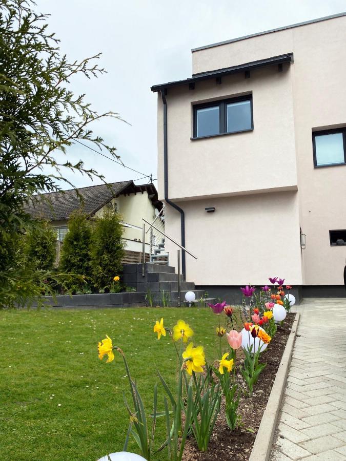 Sonnenlay Lounge - Studio & Ferienhaus Brauneberg Exterior foto